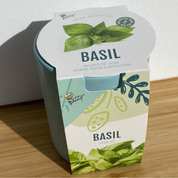 Buzzy Accents Buzzy Herb Grow Kit In A Ceramic Pot Basil Poshmark